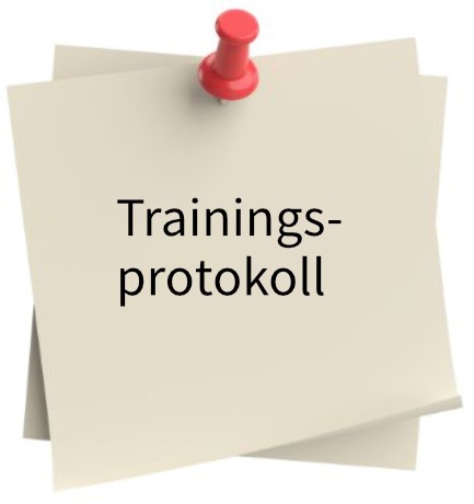 Trainingsprotokoll